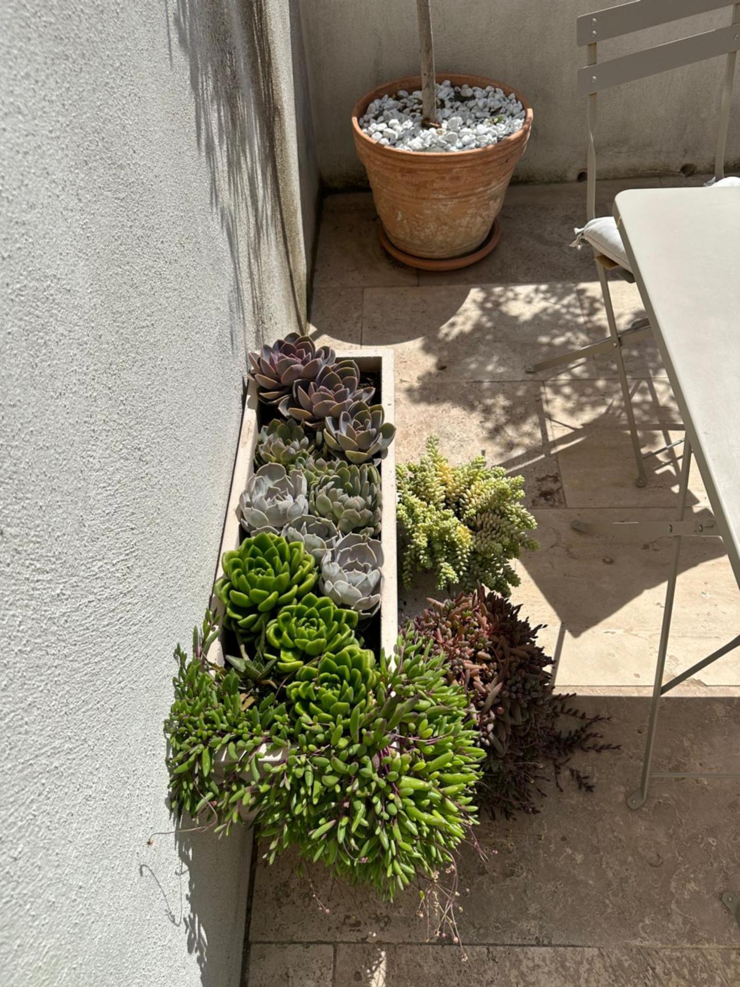 Appartements 3 Etoiles Terrasse Ou Patio Intra-Muros Aigues-Mortes Exterior photo